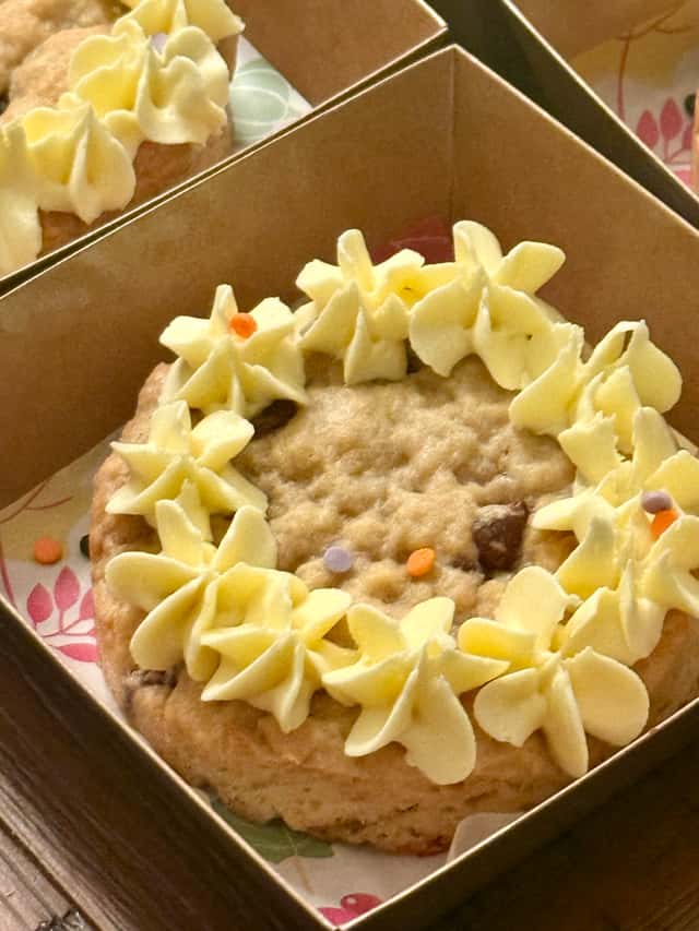 Sourdough Snickerdoodle or Chocolate Chip Mini Cookie Cake