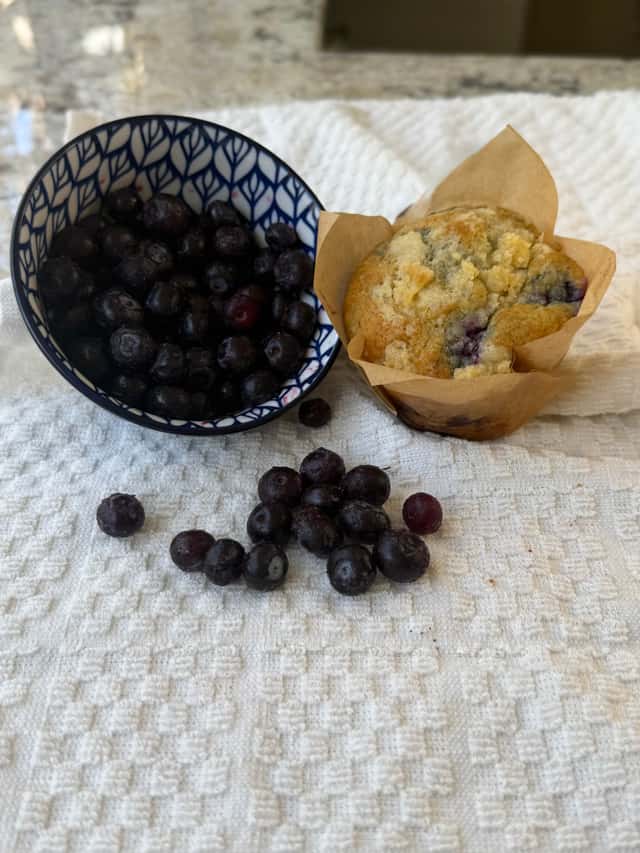 Sourdough blueberry muffins