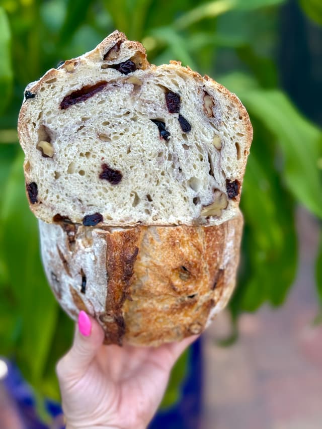 Cranberry Walnut Sourdough Loaf